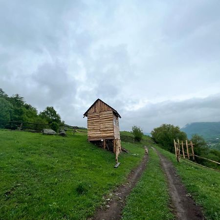 Alereks Mountain Camping Dsegh Exterior photo